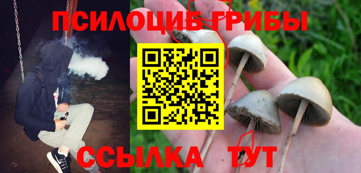 Галлюциногенные грибы GOLDEN TEACHER  Вход с VPN  Химки 